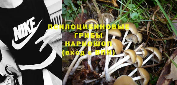 ECSTASY Бутурлиновка