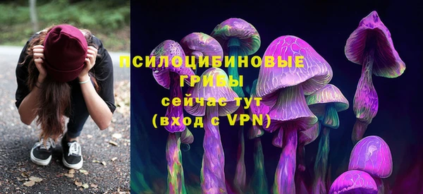 каннабис Ельня