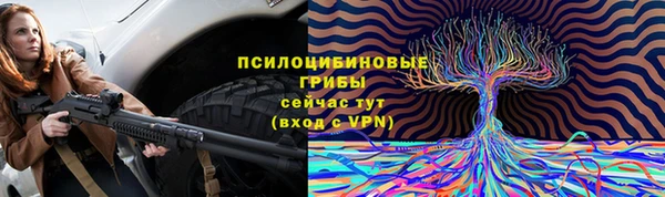 ECSTASY Бутурлиновка