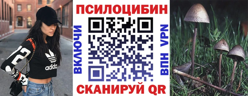 shop телеграм  Камбарка  Псилоцибиновые грибы Magic Shrooms 